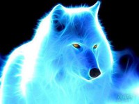 Les loups