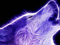 Les loups