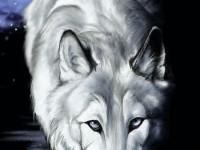 Les loups