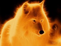 Les loups
