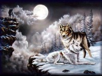 Les loups