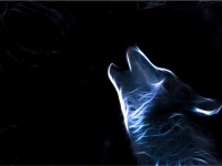 Les loups