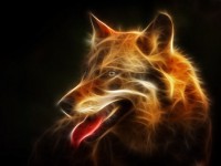 Les loups