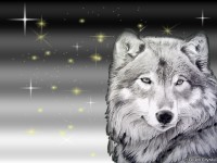 Les loups