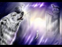 Les loups