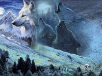 Les loups