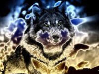 Les loups