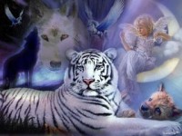 Les loups