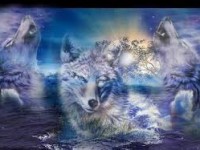 Les loups