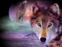 Les loups