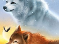 Les loups