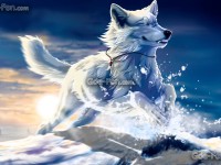 Les loups