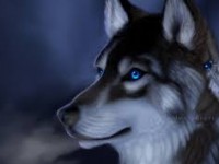 Les loups