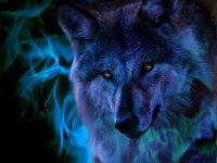 Les loups