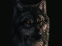 Les loups