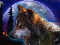 Les loups