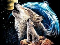 Les loups