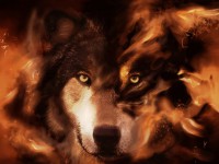 Les loups