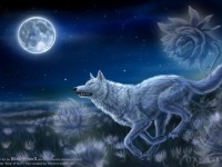 Les loups