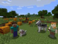 Photo des skins de bases
